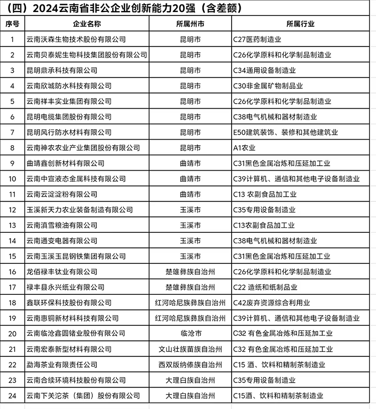 《2024云南省非公企業創新能力20強》完整榜單