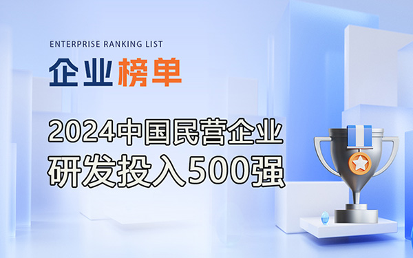 2024民營企業研發投入500強