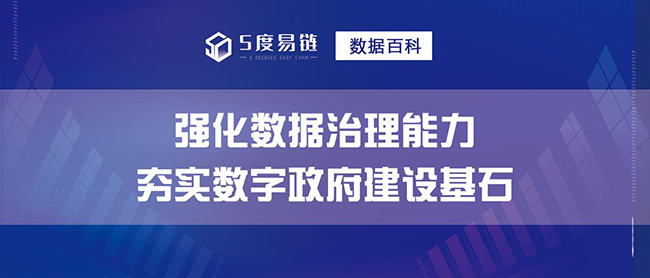 強化數據治理能力，夯實數字政府建設基石！