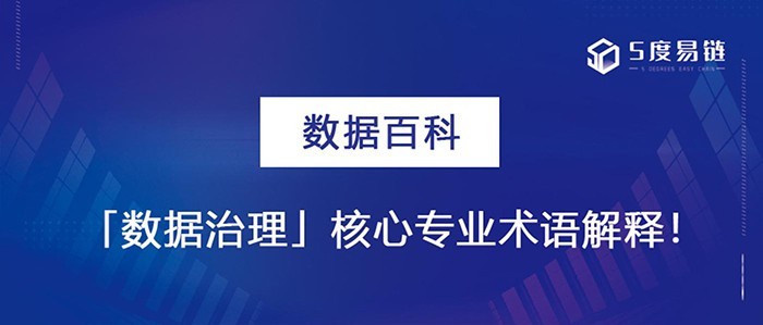 數據治理核心專業術語解釋！